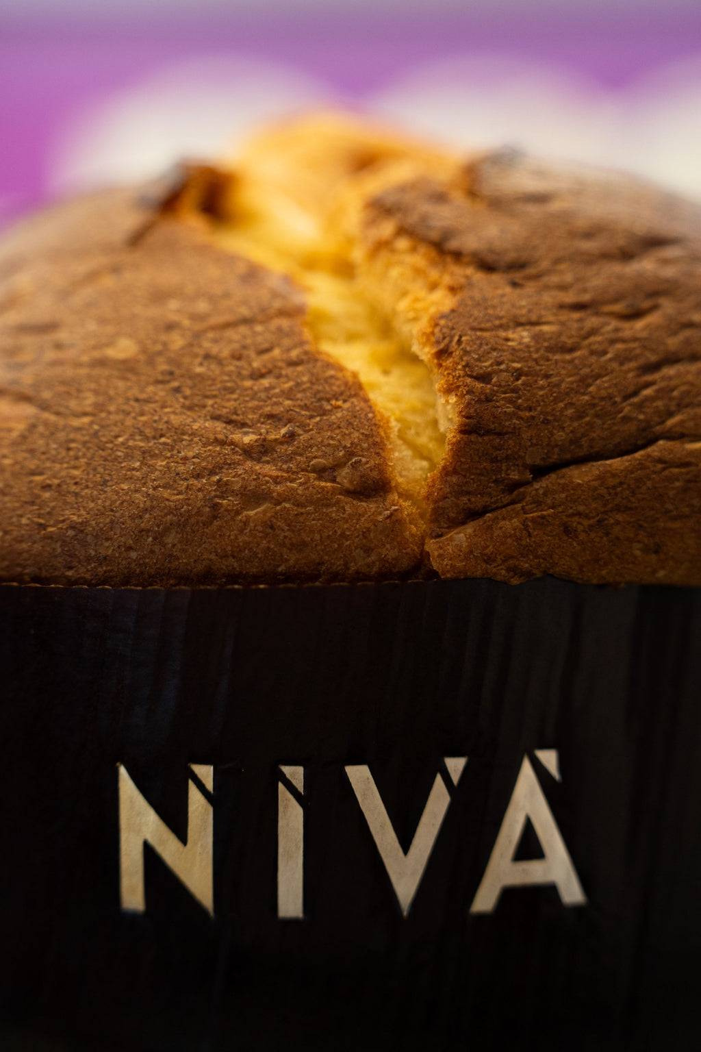 Panettone Gianduia - Chocolate com Avelã 900g + 220g