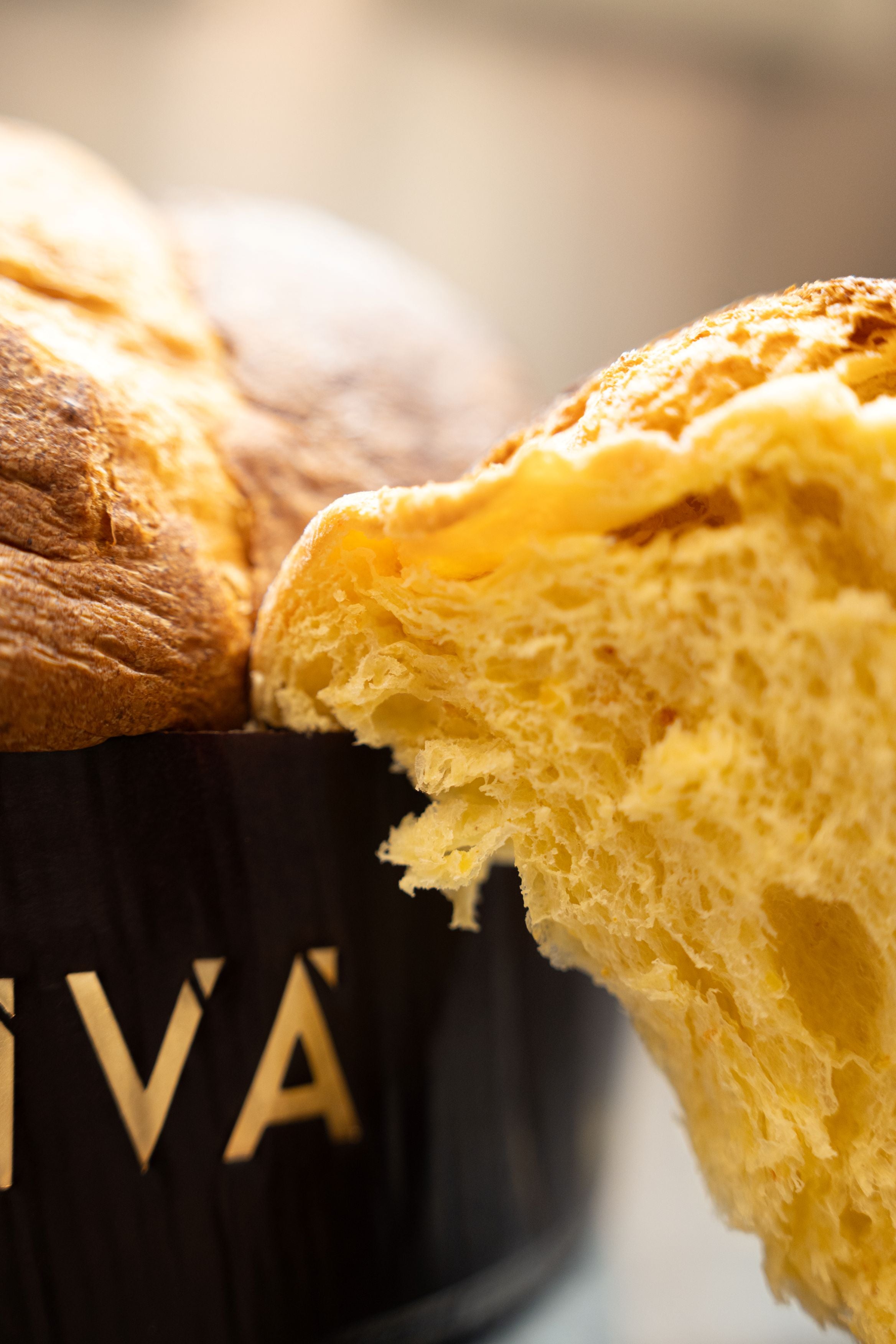 Panettone Tradicional 900g